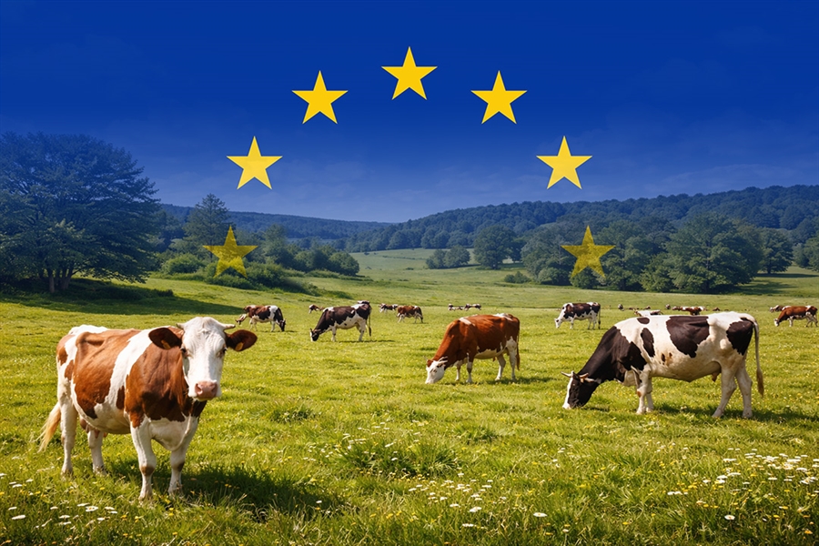 Las metas del semestre m�s all� de la PAC: bienestar animal, comercio y...