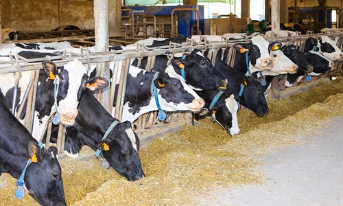 Un aditivo logra reducir m�s de un 30 % las emisiones de metano en...