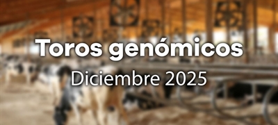 Nuevos toros gen�micos con Prueba Oficial: Evaluaci�n gen�mica diciembre 2025