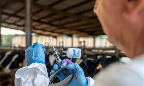 Catalu�a confirma un nuevo caso de dermatosis nodular contagiosa en una...