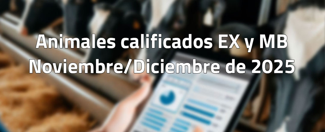 Animales calificados EX y MB en noviembre y diciembre de 2025