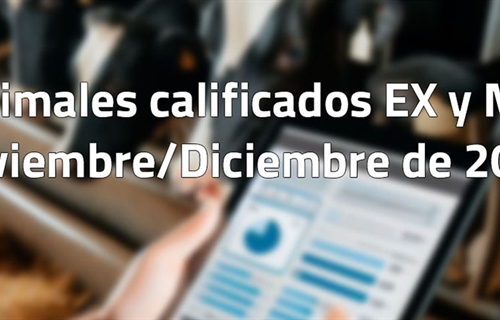 Animales calificados EX y MB en noviembre y diciembre de 2025