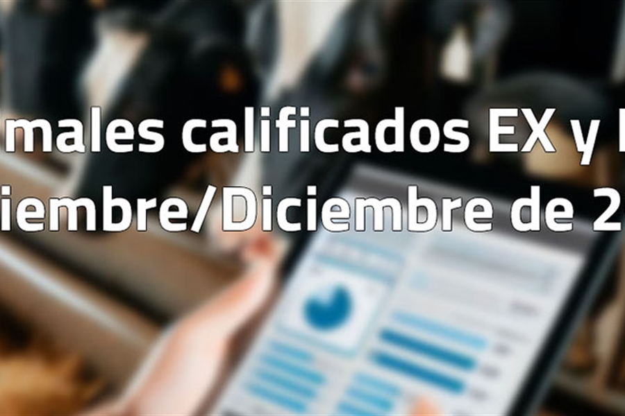 Animales calificados EX y MB en noviembre y diciembre de 2025