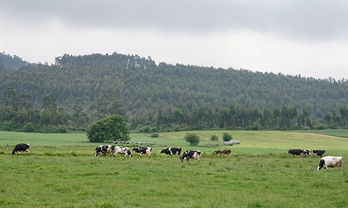 Cantabria convoca las ayudas de la Solicitud �nica para 2026