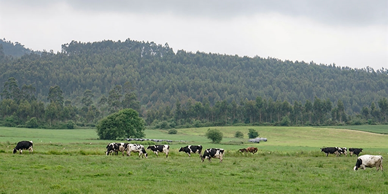 Cantabria convoca las ayudas de la Solicitud �nica para 2026