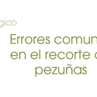 Errores comunes en el recorte de pezu�as