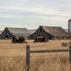 Cient�ficos alertan de los riesgos (y oportunidades) de la 'despoblaci�n' ganadera