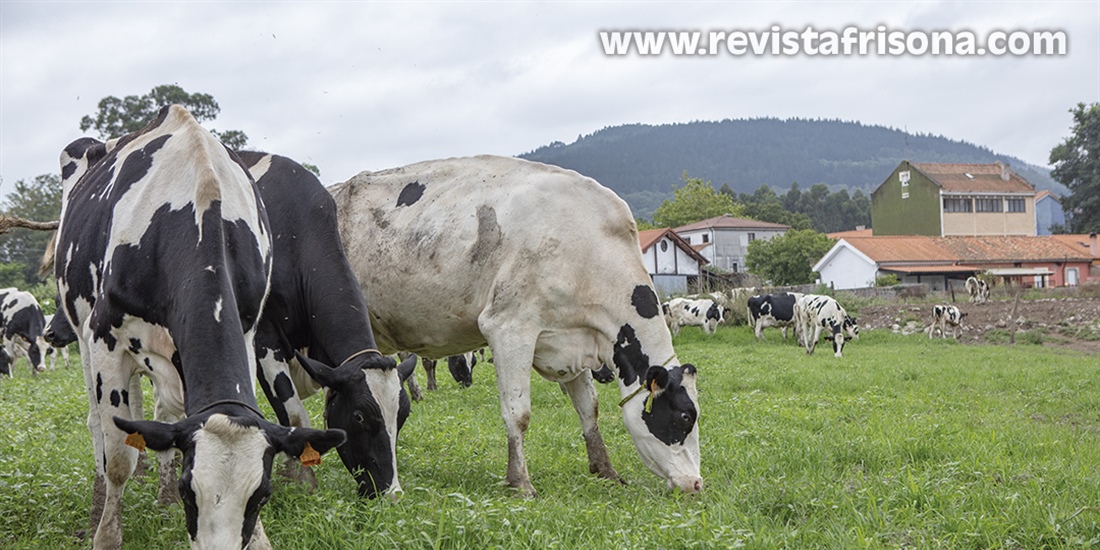 #RealidadGanadera: Directiva sobre Suelos de la UE: los pastos y los...