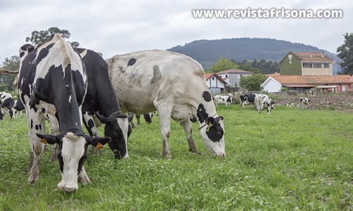 #RealidadGanadera: Directiva sobre Suelos de la UE: los pastos y los...