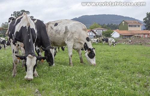 #RealidadGanadera: Directiva sobre Suelos de la UE: los pastos y los...