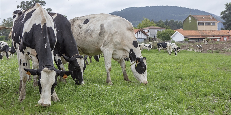 #RealidadGanadera: Directiva sobre Suelos de la UE: los pastos y los rumiantes son esenciales