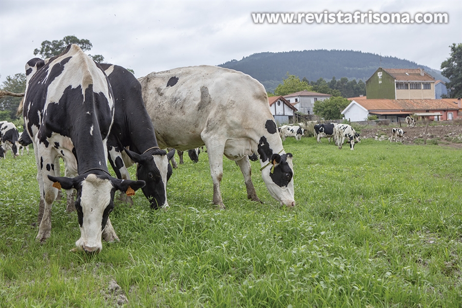 #RealidadGanadera: Directiva sobre Suelos de la UE: los pastos y los...