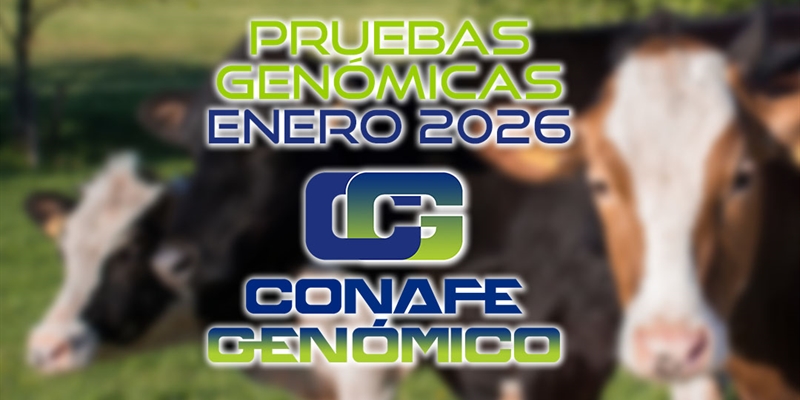 Actualizaci�n de las pruebas gen�micas de Hembras CONAFE enero 2026