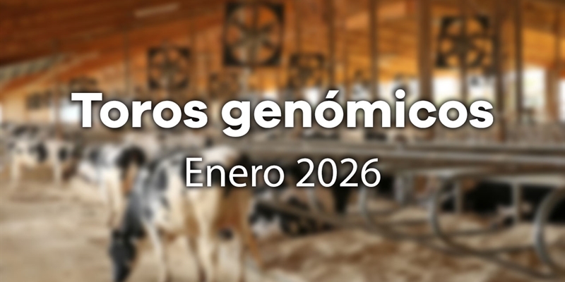 Nuevos toros gen�micos con Prueba Oficial: Evaluaci�n gen�mica enero 2026