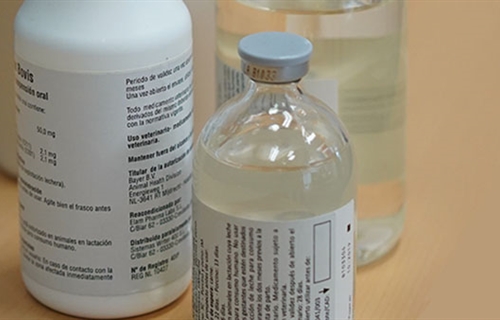 La AEMPS y Veterindustria impulsan un proyecto piloto para incorporar...