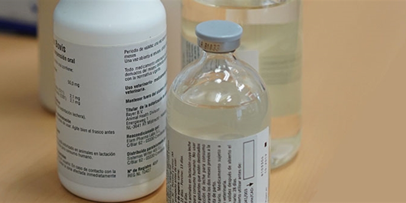 La AEMPS y Veterindustria impulsan un proyecto piloto para incorporar el prospecto electr�nico en medicamentos veterinarios