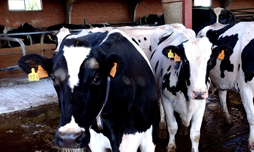 La Uni�n Europea levanta parte de las restricciones por dermatosis...