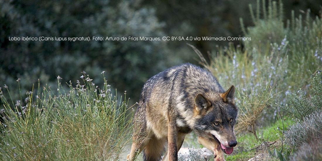 Siete comunidades denunciar�n en Europa al Gobierno de Espa�a por...