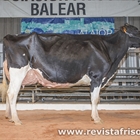 38� Concurso Morfol�gico de Ganado Vacuno de Raza Frisona de Menorca 2026