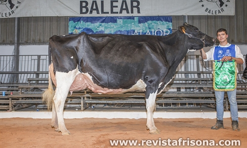 38� Concurso Morfol�gico de Ganado Vacuno de Raza Frisona de Menorca 2026