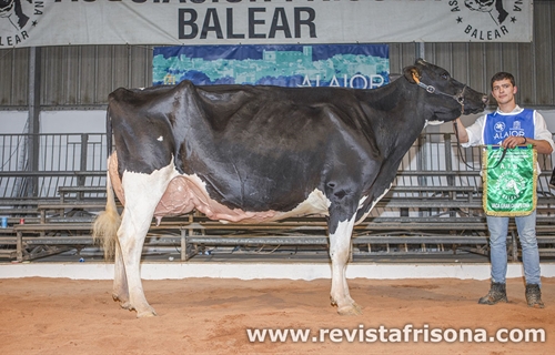 38� Concurso Morfol�gico de Ganado Vacuno de Raza Frisona de Menorca 2026