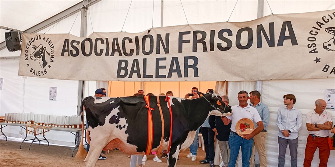 41� Concurso Morfol�gico de Ganado Vacuno de Raza Frisona de Mallorca 2026