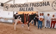 41� Concurso Morfol�gico de Ganado Vacuno de Raza Frisona de Mallorca 2026