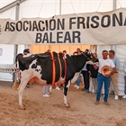 41� Concurso Morfol�gico de Ganado Vacuno de Raza Frisona de Mallorca 2026