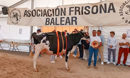 41� Concurso Morfol�gico de Ganado Vacuno de Raza Frisona de Mallorca 2026