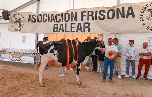 41� Concurso Morfol�gico de Ganado Vacuno de Raza Frisona de Mallorca 2026