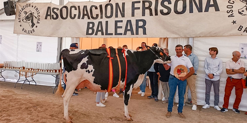 41� Concurso Morfol�gico de Ganado Vacuno de Raza Frisona de Mallorca 2026