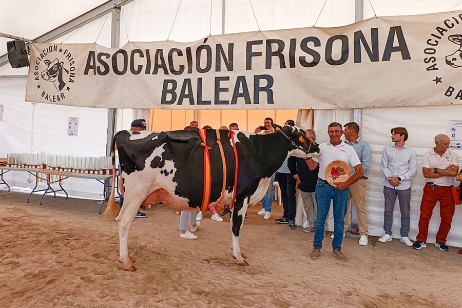41� Concurso Morfol�gico de Ganado Vacuno de Raza Frisona de Mallorca 2026