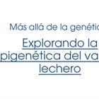 M�s all� de la gen�tica: Explorando la epigen�tica del vacuno lechero