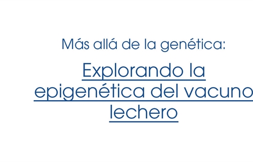 M�s all� de la gen�tica: Explorando la epigen�tica del vacuno lechero