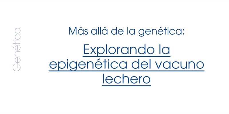M�s all� de la gen�tica: Explorando la epigen�tica del vacuno lechero