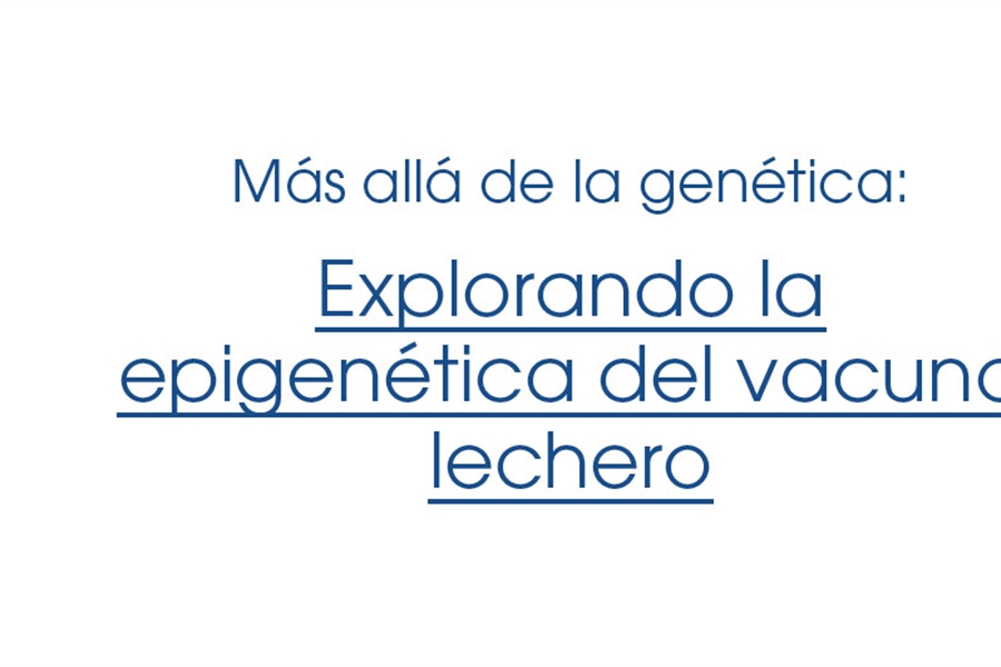 M�s all� de la gen�tica: Explorando la epigen�tica del vacuno lechero