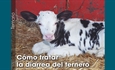 C�mo tratar la diarrea del ternero