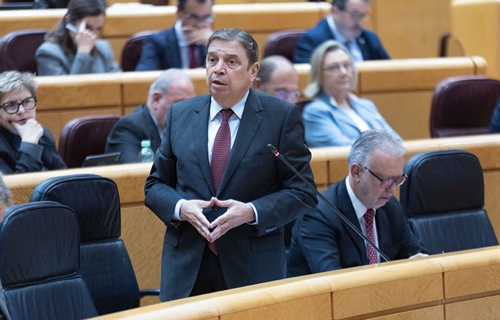 El ministro Luis Planas pide tranquilidad a los ganaderos de vacuno de...