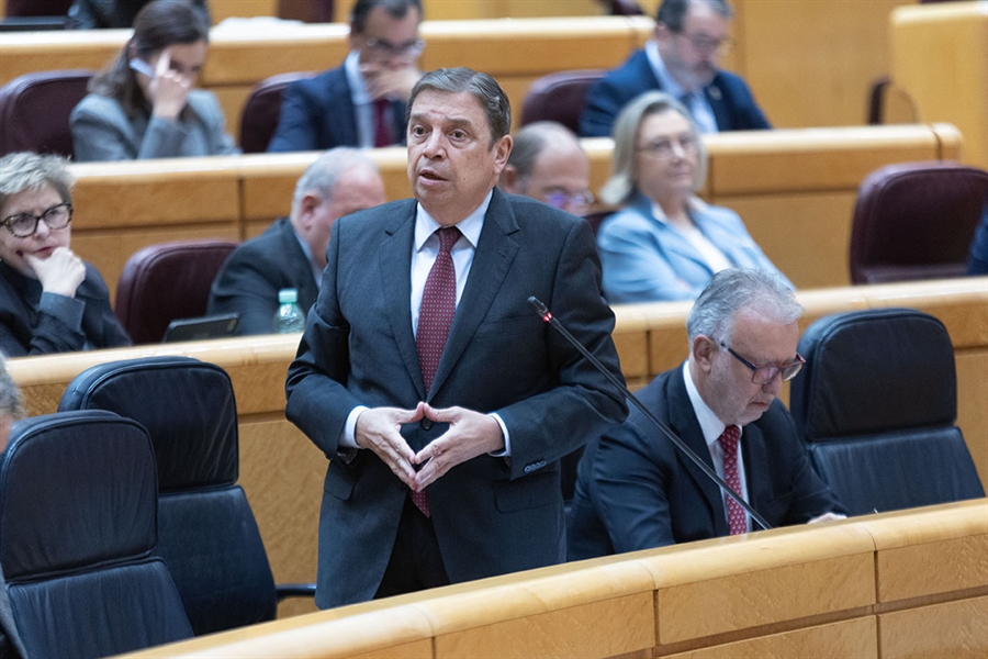 El ministro Luis Planas pide tranquilidad a los ganaderos de vacuno de...