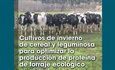 Cultivos de invierno de cereal y leguminosa para optimizar la producci�n de prote�na de forraje ecol�gico