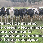 Cultivos de invierno de cereal y leguminosa para optimizar la producci�n de prote�na de forraje ecol�gico