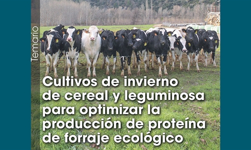 Cultivos de invierno de cereal y leguminosa para optimizar la...