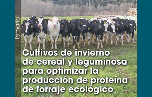 Cultivos de invierno de cereal y leguminosa para optimizar la...