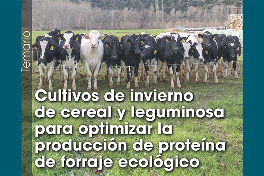 Cultivos de invierno de cereal y leguminosa para optimizar la...