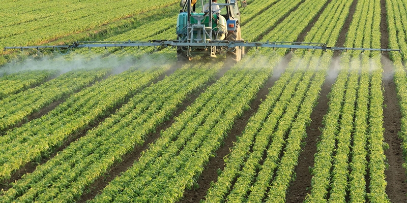 El Gobierno Vasco abre el plazo de solicitud de las ayudas de la PAC 2026