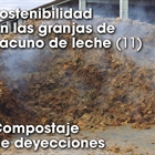 Sostenibilidad en las granjas de vacuno de leche (11): Compostaje de deyecciones