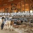 Nuevos toros gen�micos con Prueba Oficial: Evaluaci�n gen�mica febrero 2026