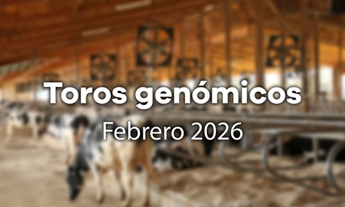 Nuevos toros gen�micos con Prueba Oficial: Evaluaci�n gen�mica febrero 2026
