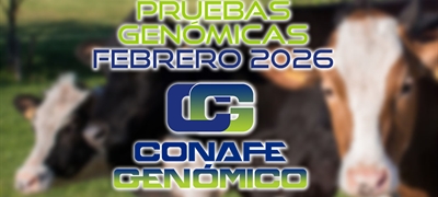 Actualizaci�n de las pruebas gen�micas de Hembras CONAFE febrero 2026