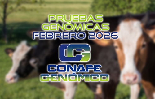 Actualizaci�n de las pruebas gen�micas de Hembras CONAFE febrero 2026